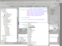 jsfc_seamVariables.gif