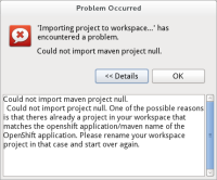 could-not-maven-import-null.png