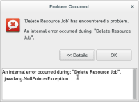 npe-when-deleting-resource.png