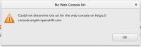 no_web_console_url.png