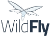 wildfly_wizban.png