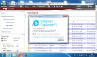 About IE screen.png