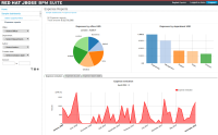 Expense report dashboard (RH BPMS product look&feel).png