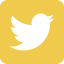 wildfly_icons_social-twitter.png