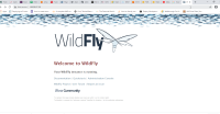 WildflyVerify6.png