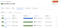 pipeline-detail-page-run-tab-works-fine.png