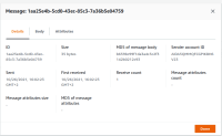 MessaeDetailFromWebConsole.png
