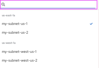subnetDropDownSearch.png