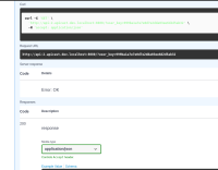 openapi-2.13-error-ok.png