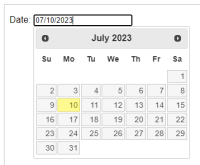 date-picker (3).PNG