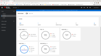 Home-overview-clusterIssues-overlap-en_US-1.png