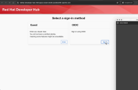 devhub-keycloak-oidc-failing.gif