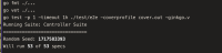 LocalTestExecution.png