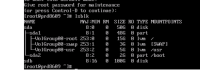 migrated-vm-lsblk.png