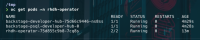 podstatus-1.png