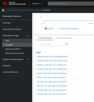cluster_subscription_view.png