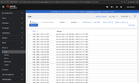app-logs-v18.png