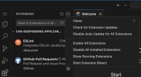 extensions_panel_NO_install_from_VSIX.png