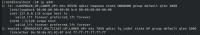 image-2025-04-11-17-10-37-194.png