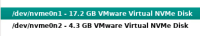 nvme-2-disks.png