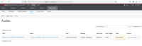 audit-succeeded-refresh.png
