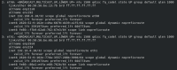 image-2025-05-06-14-06-46-516.png
