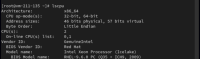image-2025-06-03-17-51-48-093.png