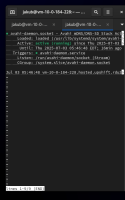 Screenshot From 2025-07-03 12-03-12.png