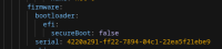 uefi-guest-firmware-info-on-MTV.png