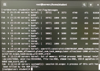 Screenshot 2026-02-11 at 17.00.11.png