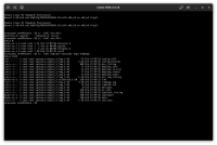 Screenshot From 2026-02-19 10-56-41.png